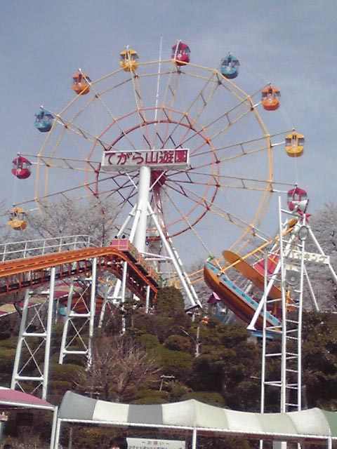 手柄山遊園地での花見 電車おやじの平凡な日々